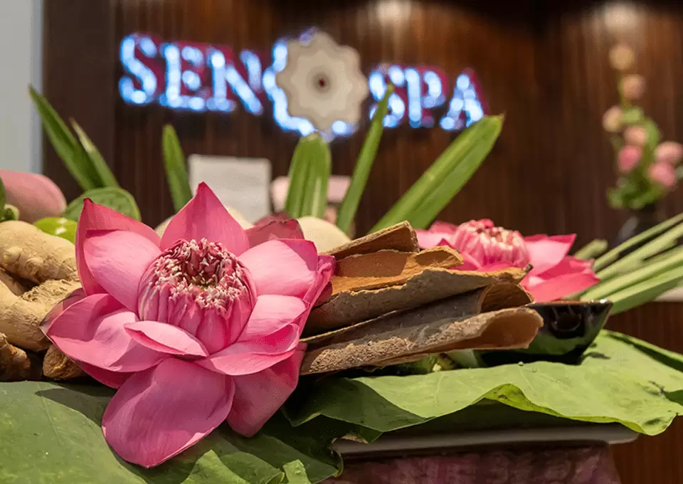 vip massage da nang